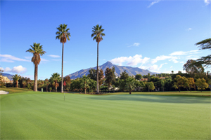 1670 - Front Line Las Brisas Plots with License